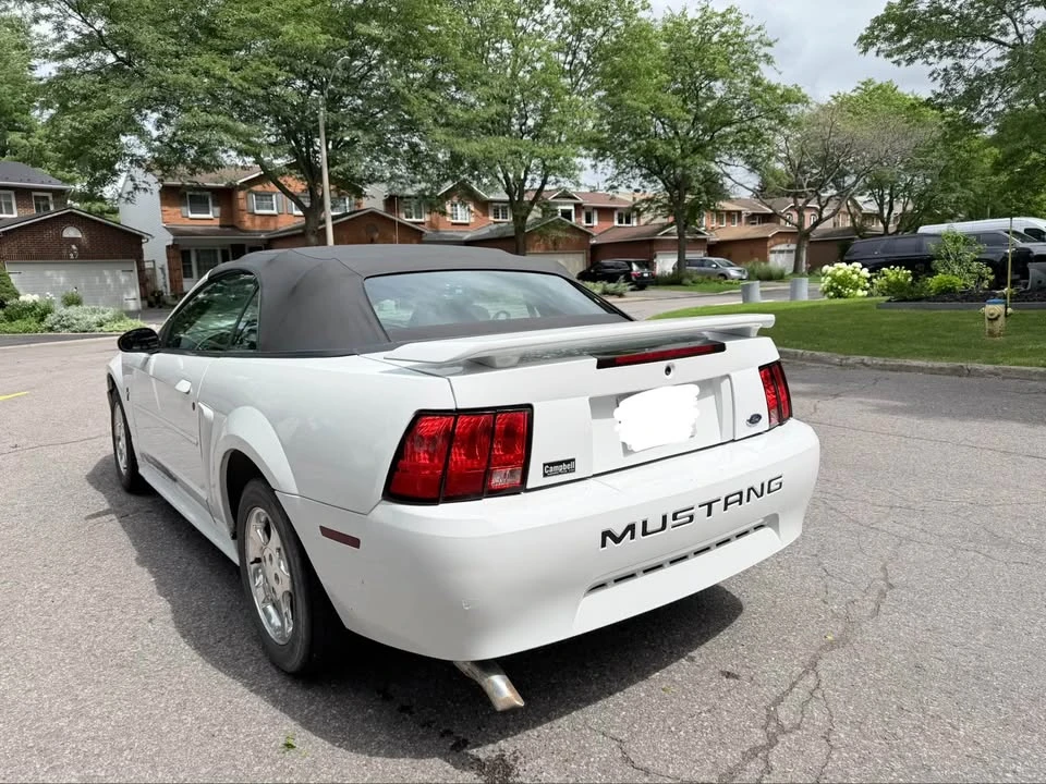 2003 Ford SN95 Mustang - Image 4 of 15