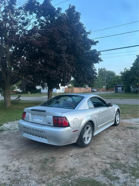 2003 Ford SN95 Mustang - Image 2 of 2