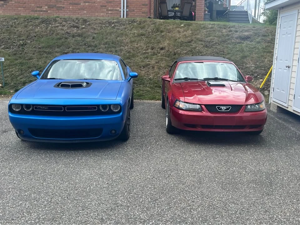 2003 Ford SN95 Mustang - Image 3 of 3