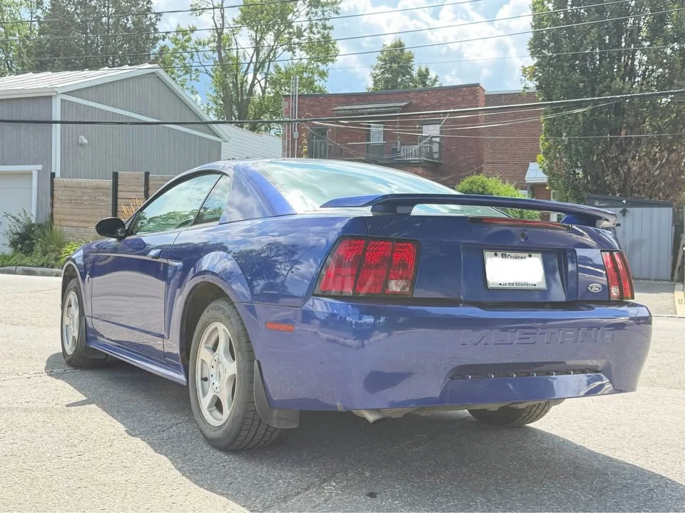 2003 Ford SN95 Mustang - Image 5 of 13