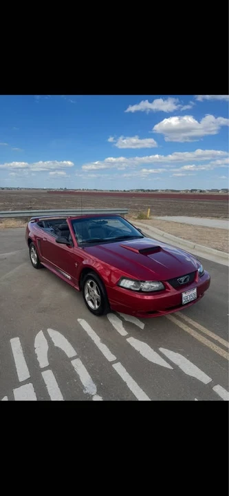2003 Ford SN95 Mustang - Image 2 of 9
