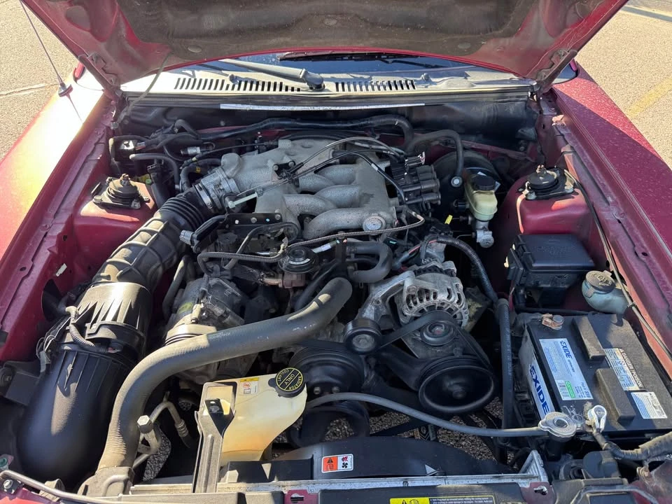 2003 Ford SN95 Mustang - Image 12 of 12