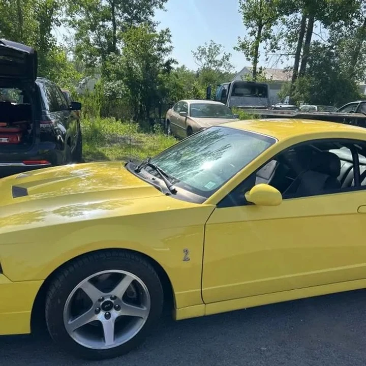 2003 Ford SN95 Mustang - Image 2 of 7