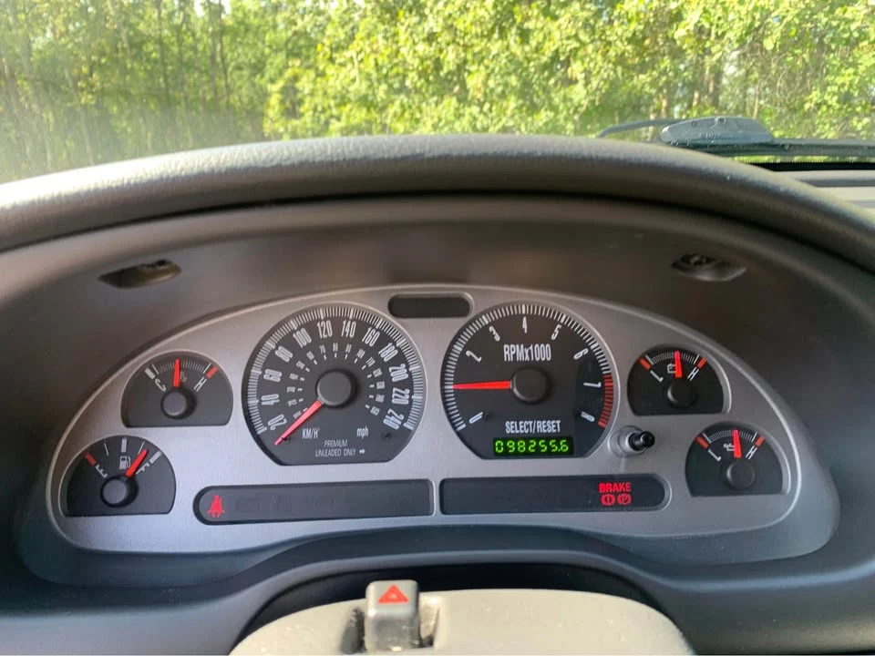 2003 Ford SN95 Mustang - Image 5 of 9