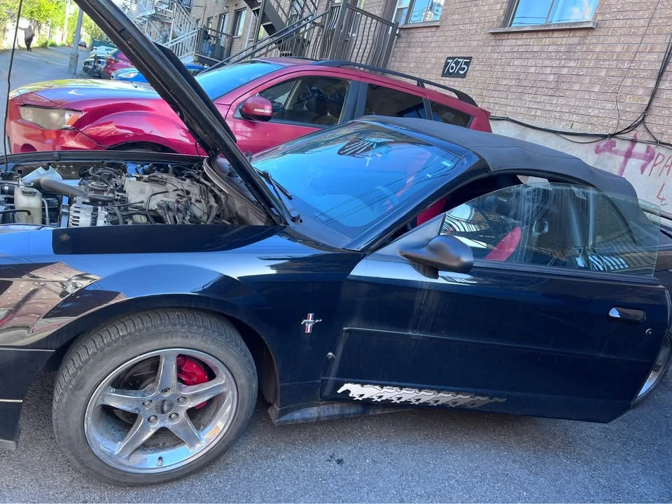 2003 Ford SN95 Mustang - Image 2 of 5