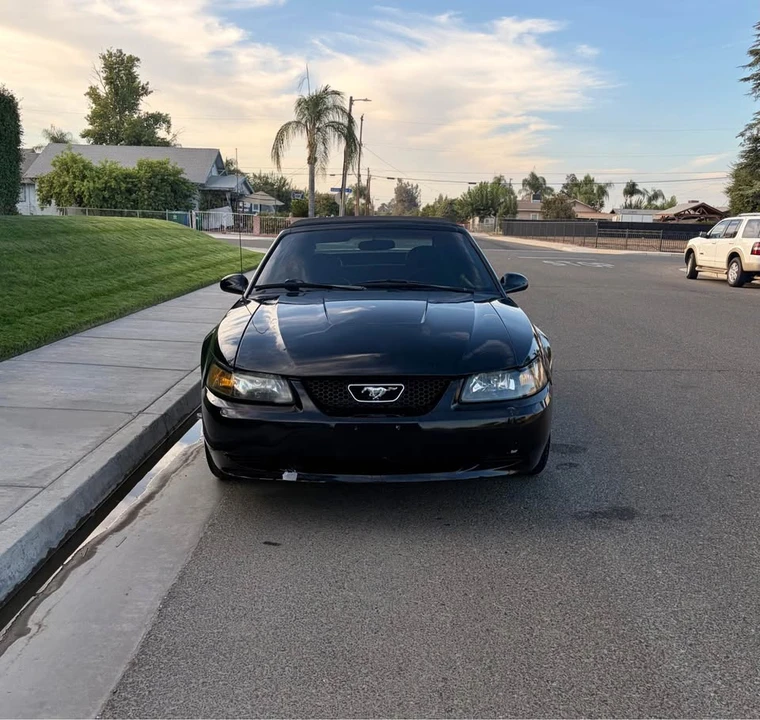 2003 Ford SN95 Mustang - Image 2 of 11