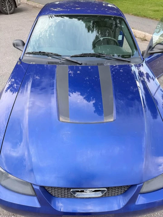 2003 Ford SN95 Mustang - Image 13 of 13