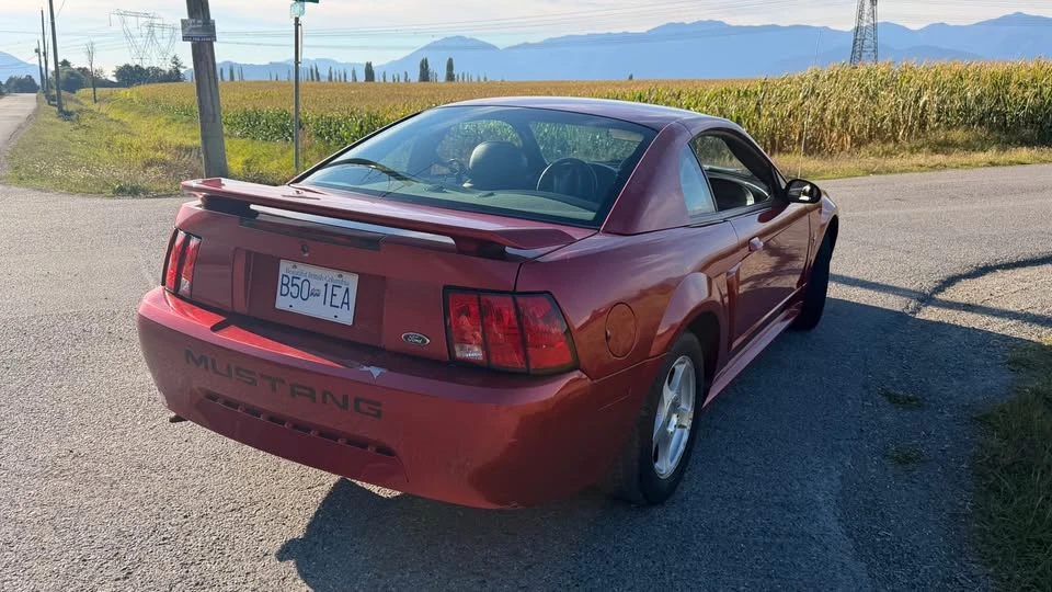 2003 Ford SN95 Mustang - Image 11 of 13