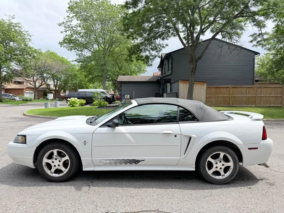 2003 Ford SN95 Mustang - Image 3 of 15