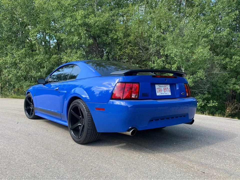 2003 Ford SN95 Mustang - Image 4 of 9
