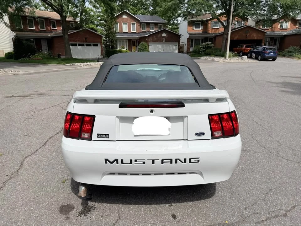 2003 Ford SN95 Mustang - Image 5 of 15
