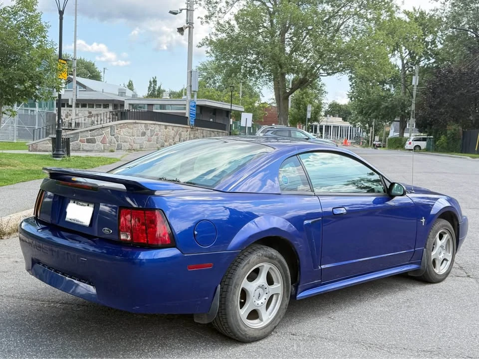 2003 Ford SN95 Mustang - Image 4 of 13