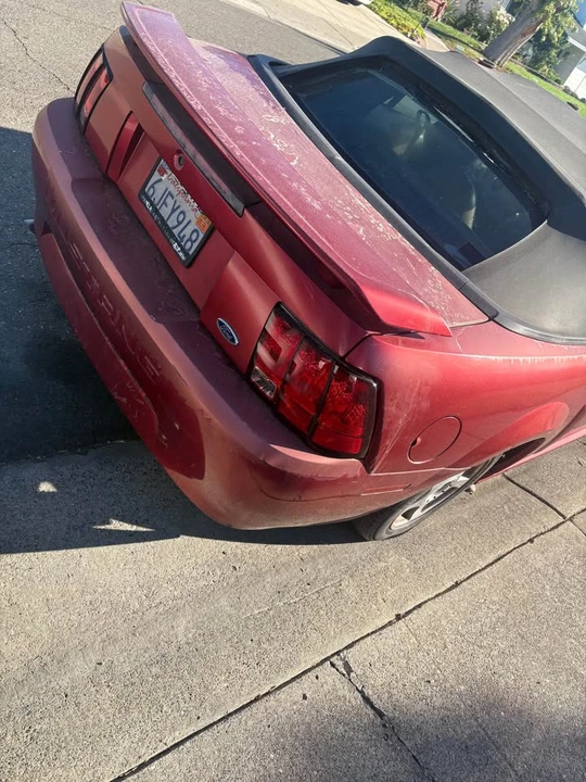 2003 Ford SN95 Mustang - Image 2 of 3