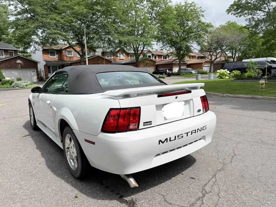 2003 Ford SN95 Mustang - Image 4 of 15