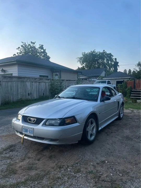 2003 Ford SN95 Mustang - Image 2 of 2