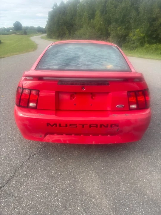 2003 Ford SN95 Mustang - Image 8 of 11