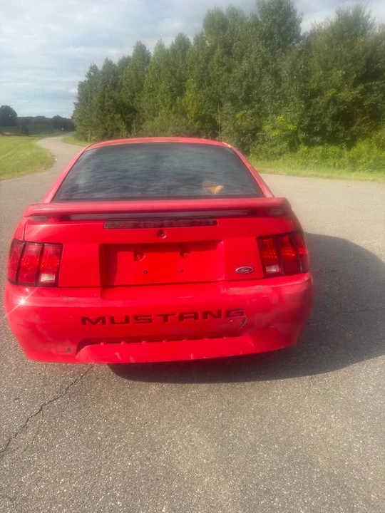 2003 Ford SN95 Mustang - Image 3 of 11