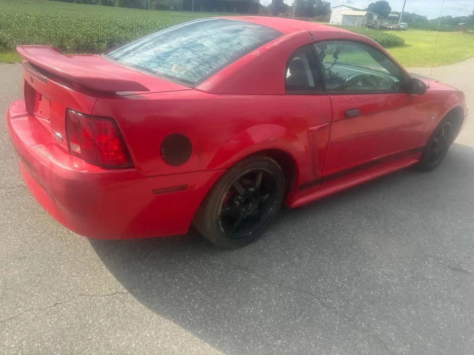 2003 Ford SN95 Mustang - Image 4 of 11