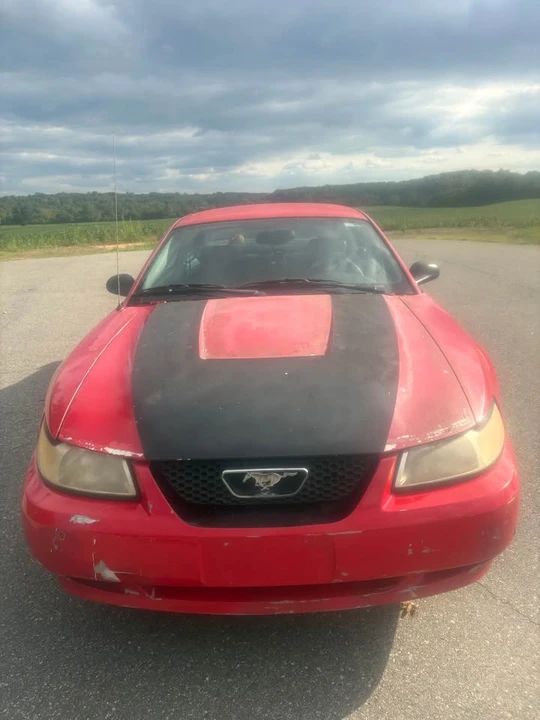 2003 Ford SN95 Mustang - Image 7 of 11