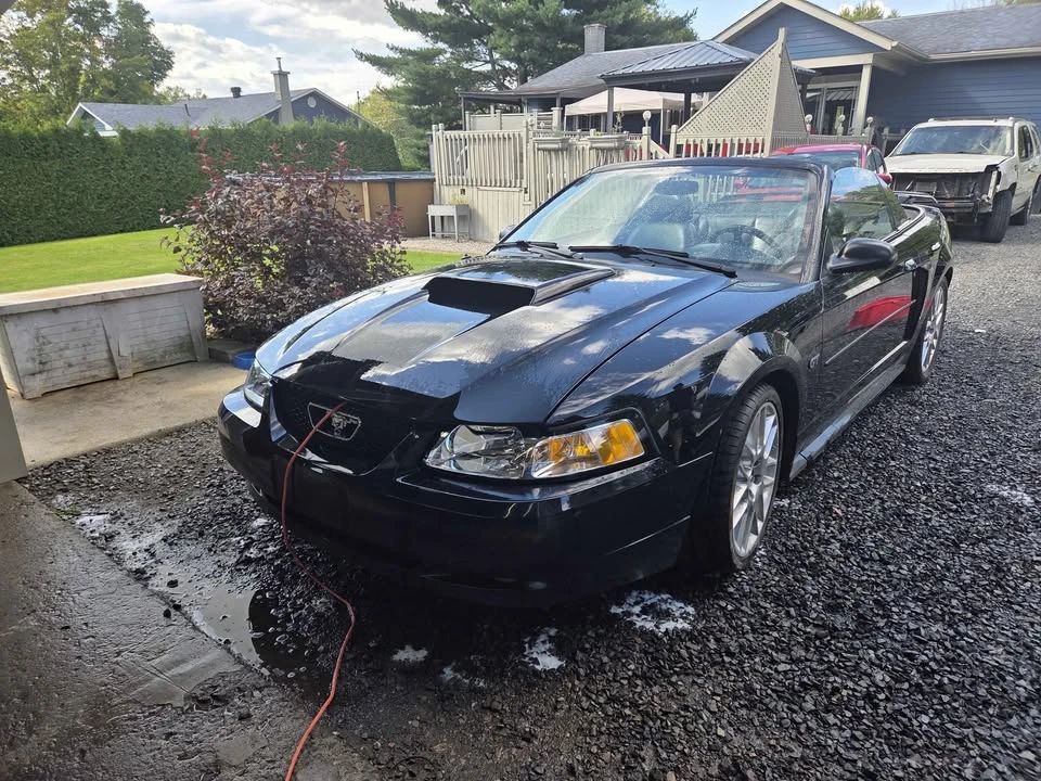 2003 Ford SN95 Mustang - Image 4 of 4