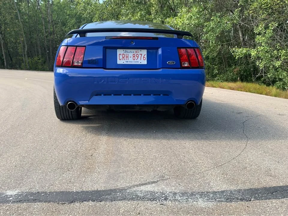 2003 Ford SN95 Mustang - Image 3 of 9