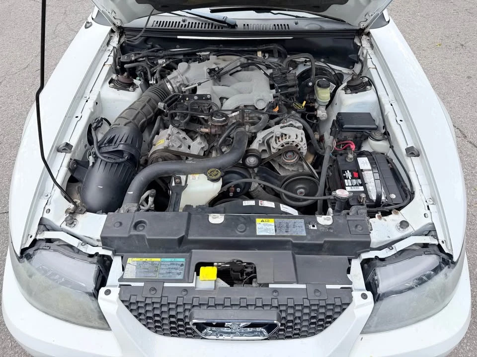 2003 Ford SN95 Mustang - Image 15 of 15