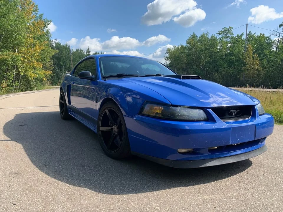 2003 Ford SN95 Mustang - Image 2 of 9
