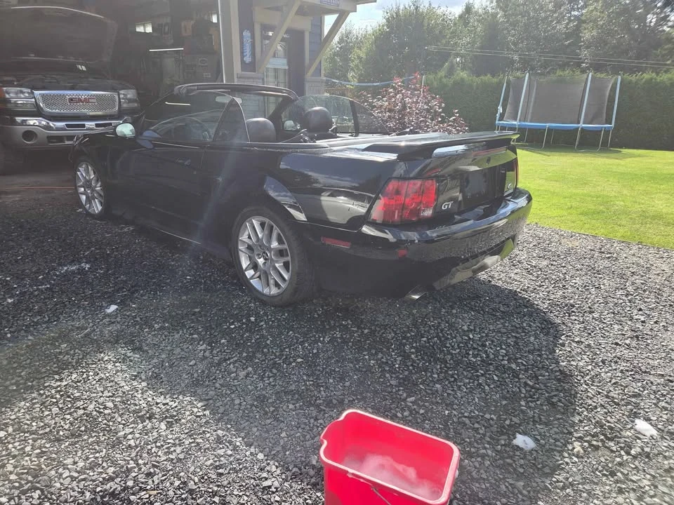 2003 Ford SN95 Mustang - Image 3 of 4