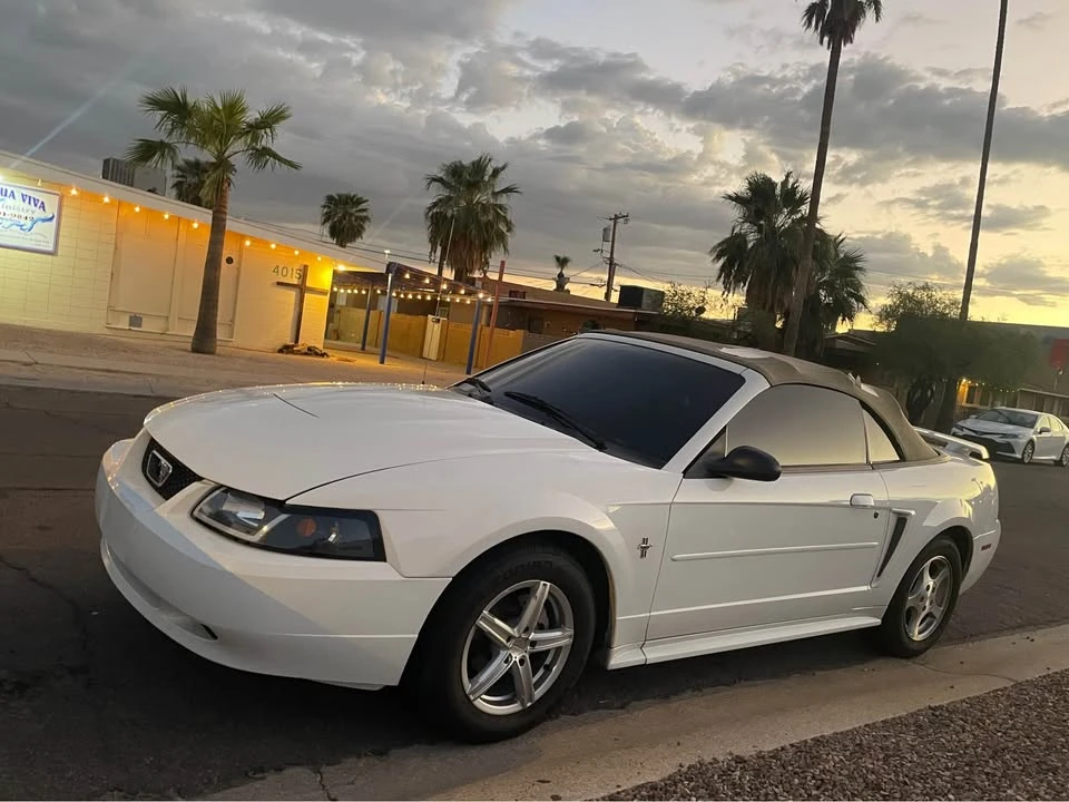 2003 Ford SN95 Mustang - Image 4 of 7