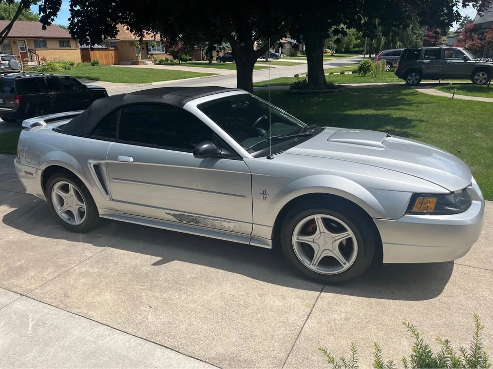 2003 Ford SN95 Mustang - Image 2 of 5