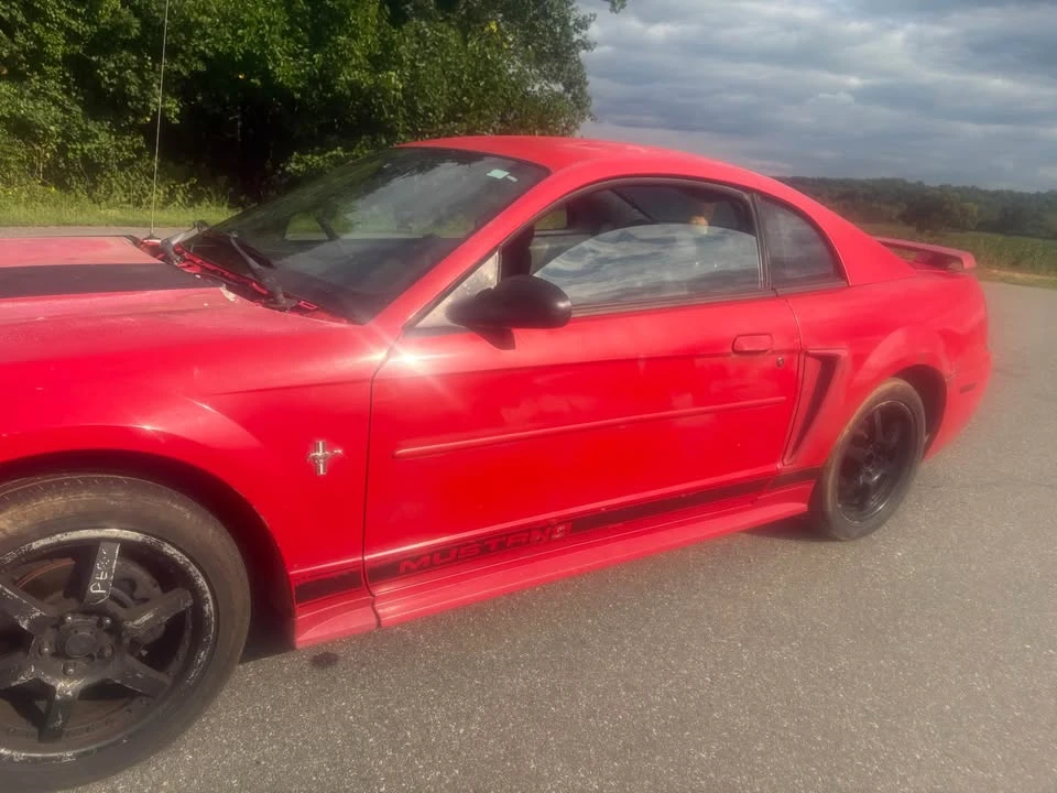 2003 Ford SN95 Mustang - Image 5 of 11