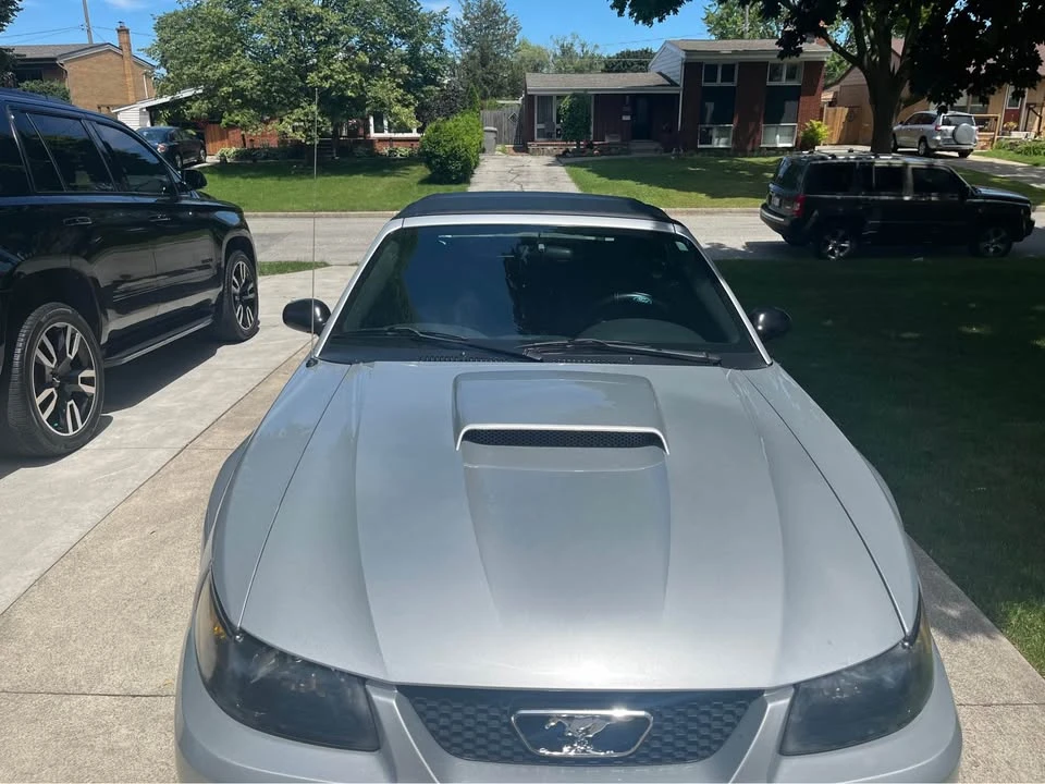 2003 Ford SN95 Mustang - Image 3 of 5