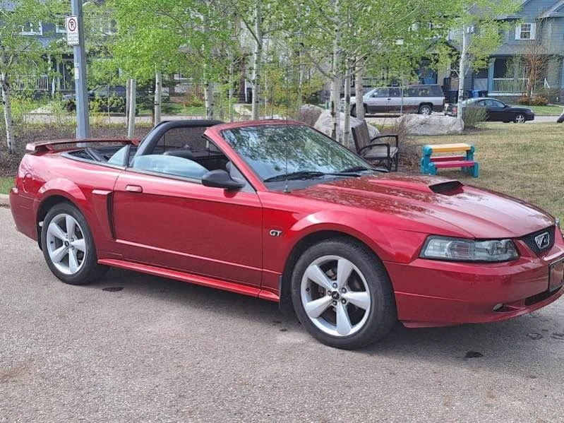 2003 Ford SN95 Mustang - Image 4 of 10