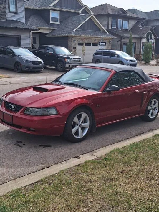 2003 Ford SN95 Mustang - Image 2 of 10