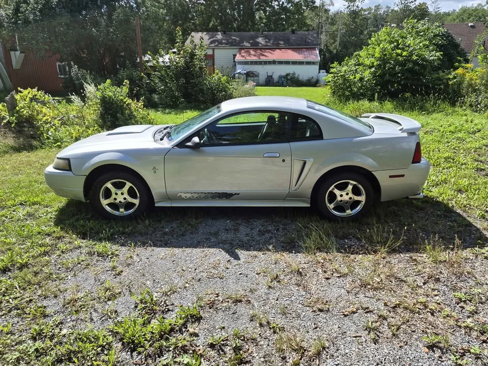 2003 Ford SN95 Mustang - Image 5 of 9