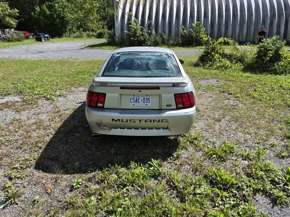 2003 Ford SN95 Mustang - Image 4 of 9