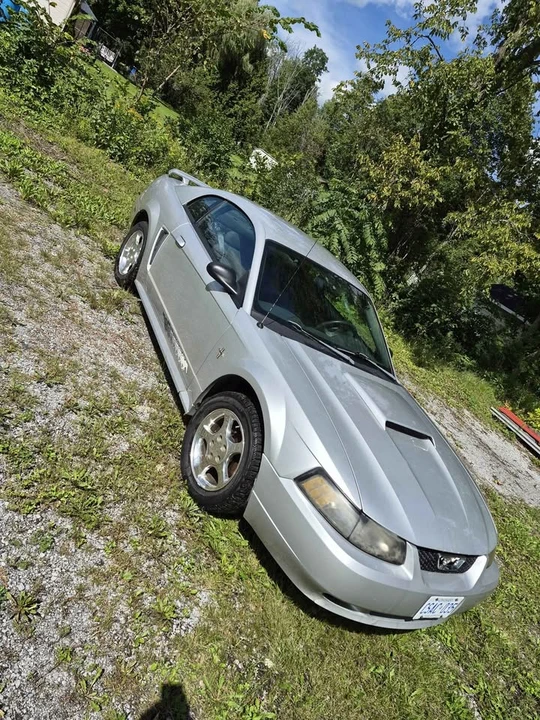 2003 Ford SN95 Mustang - Image 2 of 9
