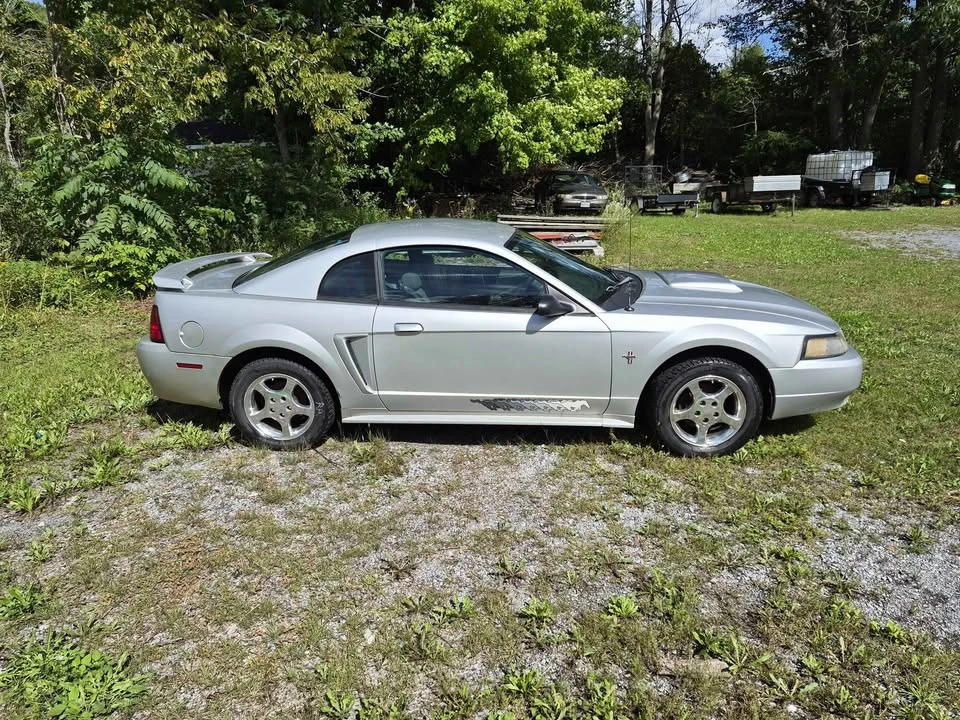 2003 Ford SN95 Mustang - Image 3 of 9