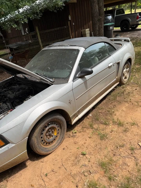 2003 Ford SN95 Mustang - Image 3 of 4