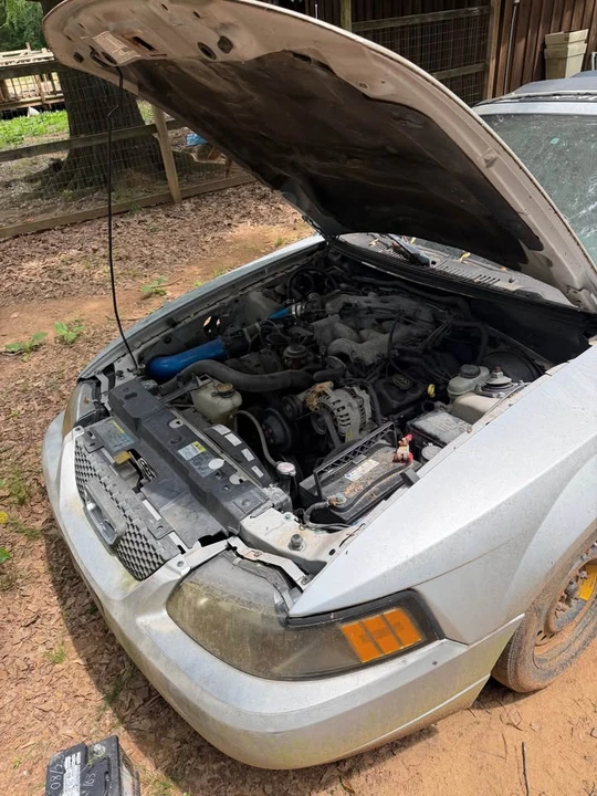 2003 Ford SN95 Mustang - Image 2 of 4