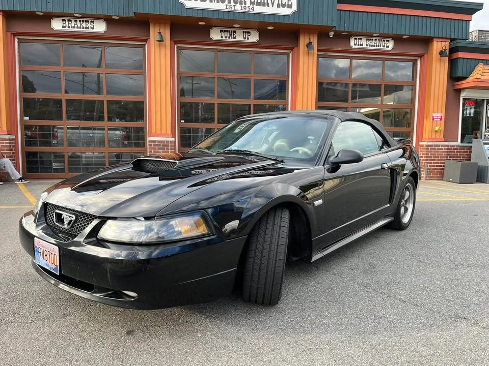 2003 Ford SN95 Mustang - Image 4 of 7
