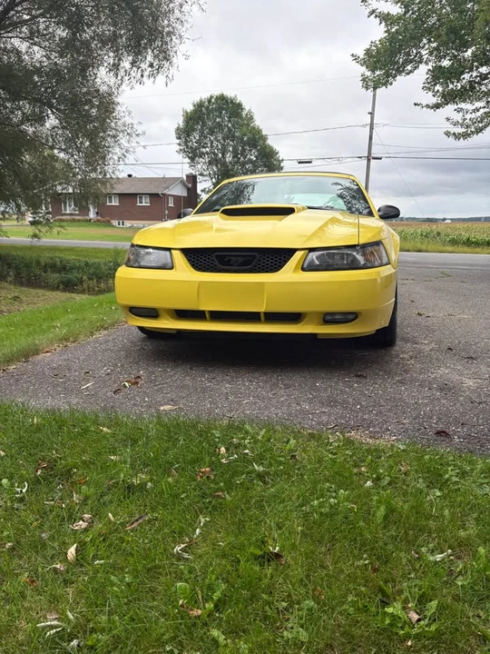 2003 Ford SN95 Mustang - Image 2 of 7