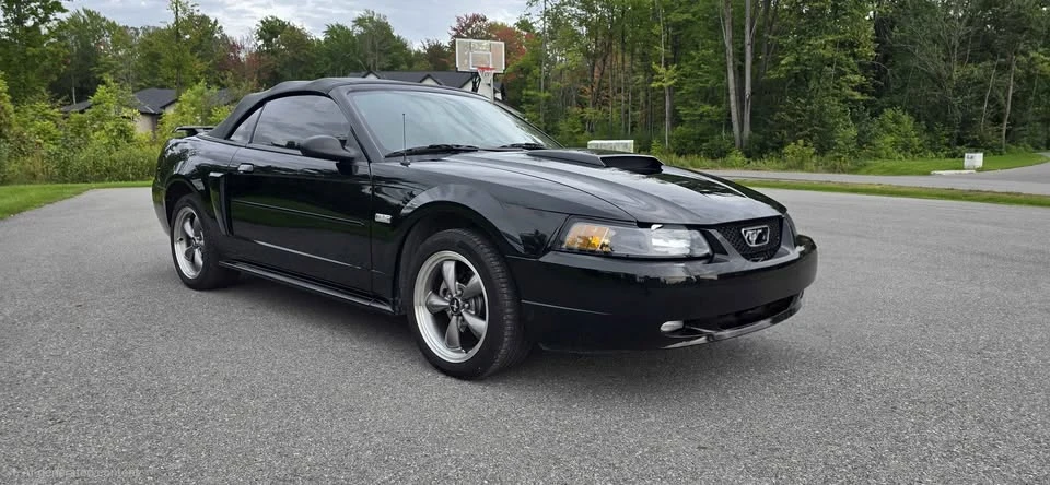 2003 Ford SN95 Mustang - Image 4 of 17