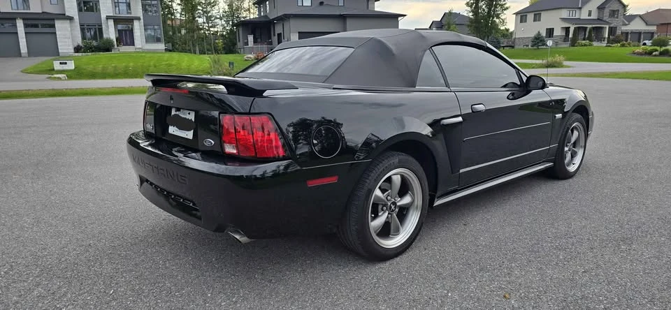 2003 Ford SN95 Mustang - Image 6 of 17