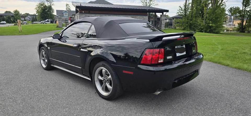 2003 Ford SN95 Mustang - Image 8 of 17