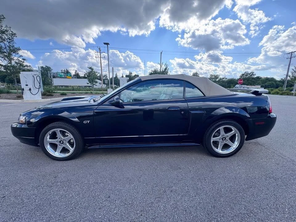 2003 Ford SN95 Mustang - Image 8 of 20