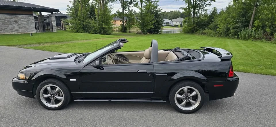 2003 Ford SN95 Mustang - Image 9 of 17