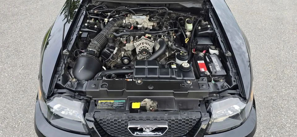 2003 Ford SN95 Mustang - Image 15 of 17