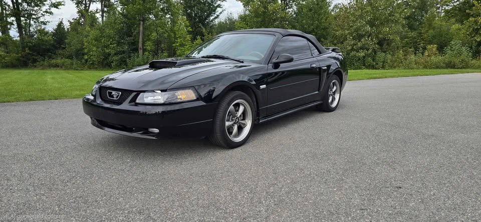 2003 Ford SN95 Mustang - Image 2 of 17