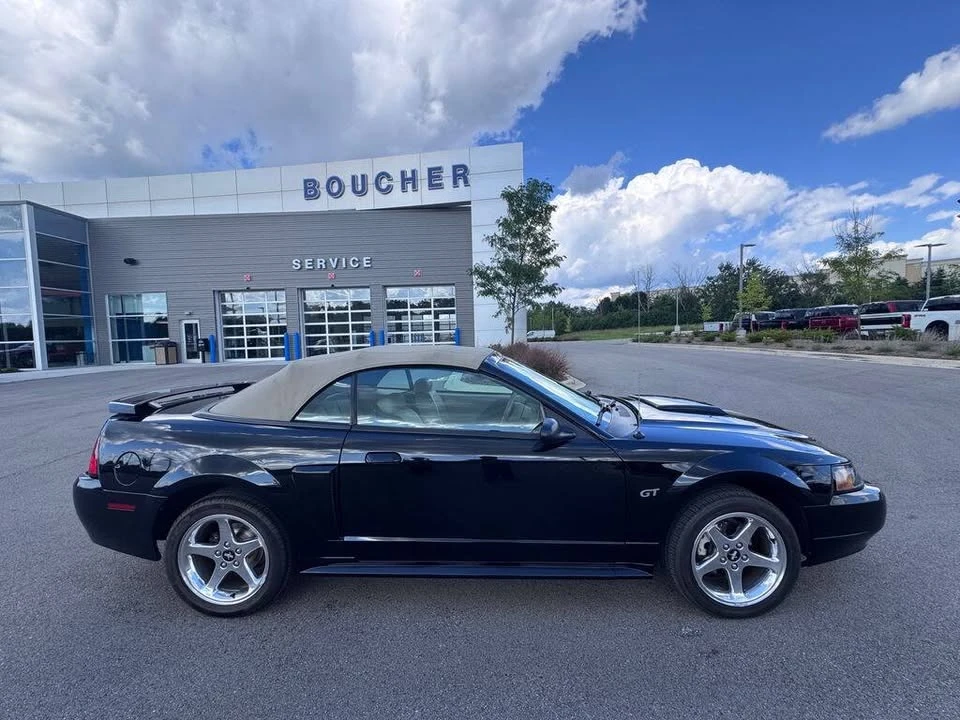 2003 Ford SN95 Mustang - Image 6 of 20